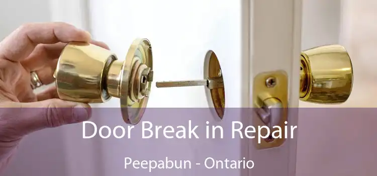 Door Break in Repair Peepabun - Ontario