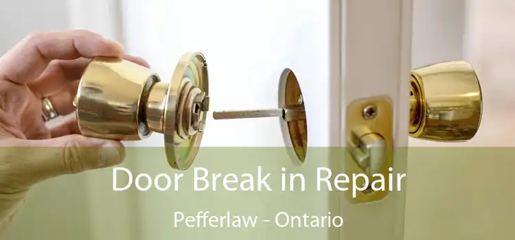 Door Break in Repair Pefferlaw - Ontario