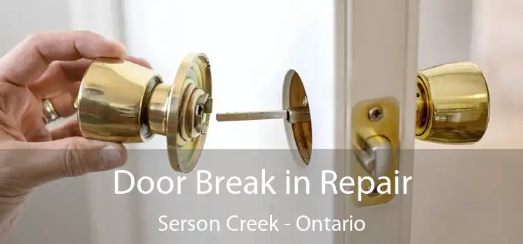 Door Break in Repair Serson Creek - Ontario