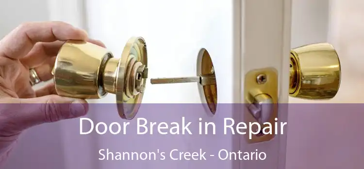 Door Break in Repair Shannon's Creek - Ontario