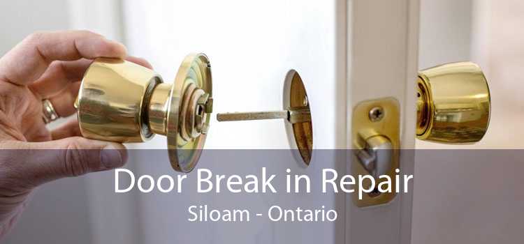 Door Break in Repair Siloam - Ontario