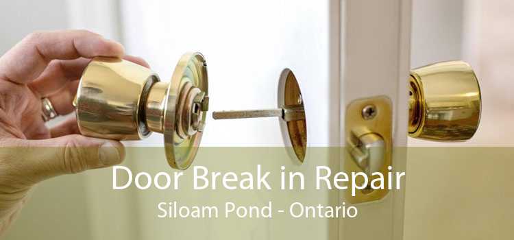 Door Break in Repair Siloam Pond - Ontario