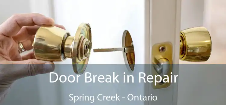 Door Break in Repair Spring Creek - Ontario