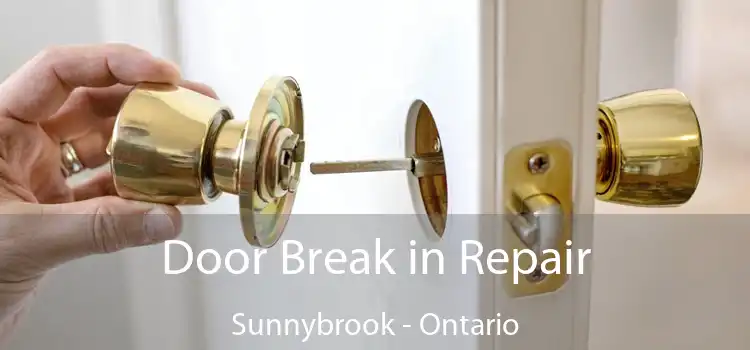 Door Break in Repair Sunnybrook - Ontario