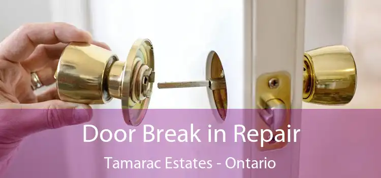 Door Break in Repair Tamarac Estates - Ontario