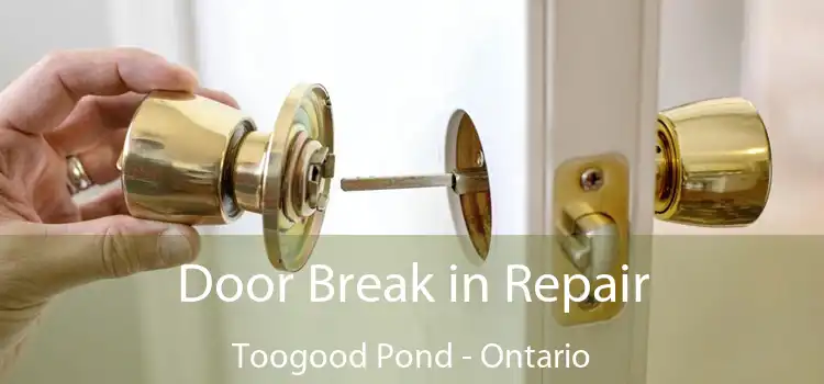 Door Break in Repair Toogood Pond - Ontario
