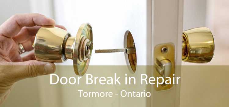 Door Break in Repair Tormore - Ontario