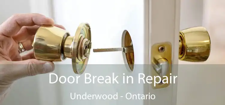 Door Break in Repair Underwood - Ontario
