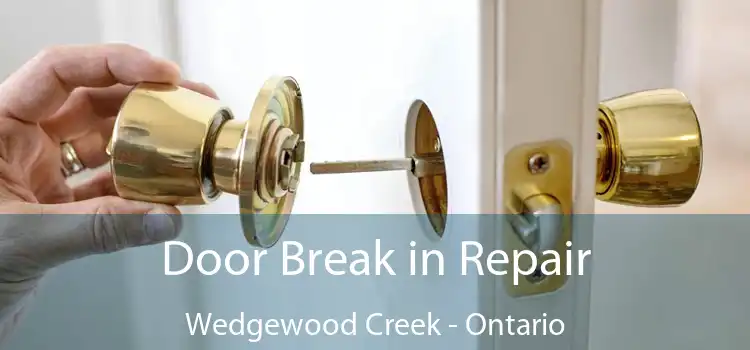 Door Break in Repair Wedgewood Creek - Ontario
