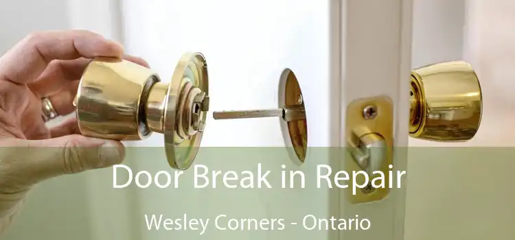 Door Break in Repair Wesley Corners - Ontario