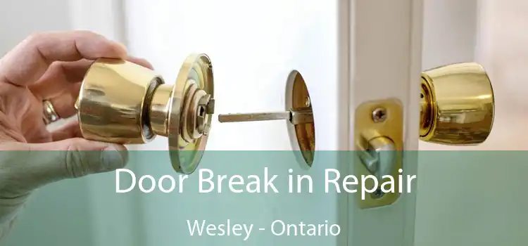 Door Break in Repair Wesley - Ontario