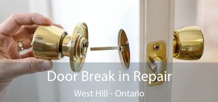 Door Break in Repair West Hill - Ontario