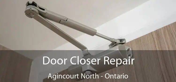 Door Closer Repair Agincourt North - Ontario