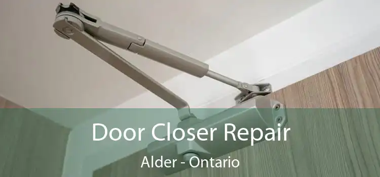 Door Closer Repair Alder - Ontario