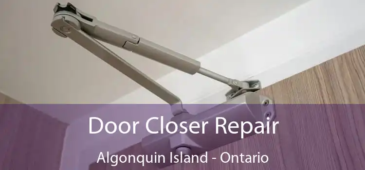 Door Closer Repair Algonquin Island - Ontario