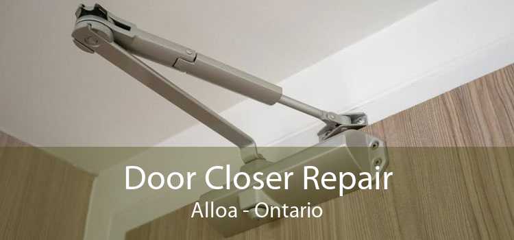 Door Closer Repair Alloa - Ontario