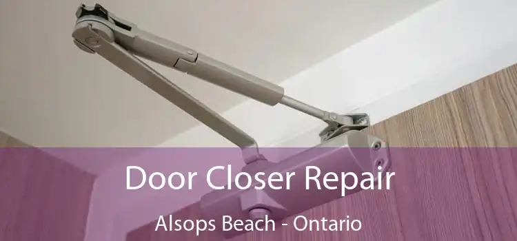 Door Closer Repair Alsops Beach - Ontario