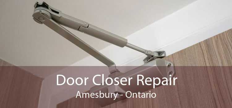 Door Closer Repair Amesbury - Ontario