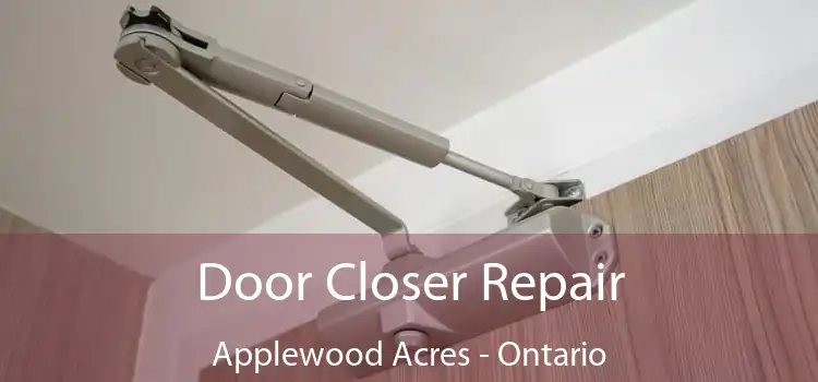 Door Closer Repair Applewood Acres - Ontario