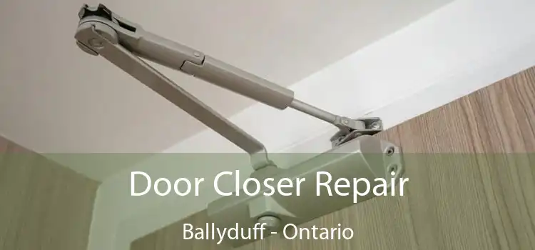 Door Closer Repair Ballyduff - Ontario