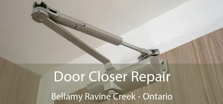 Door Closer Repair Bellamy Ravine Creek - Ontario