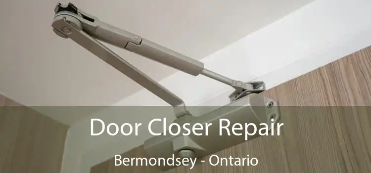Door Closer Repair Bermondsey - Ontario