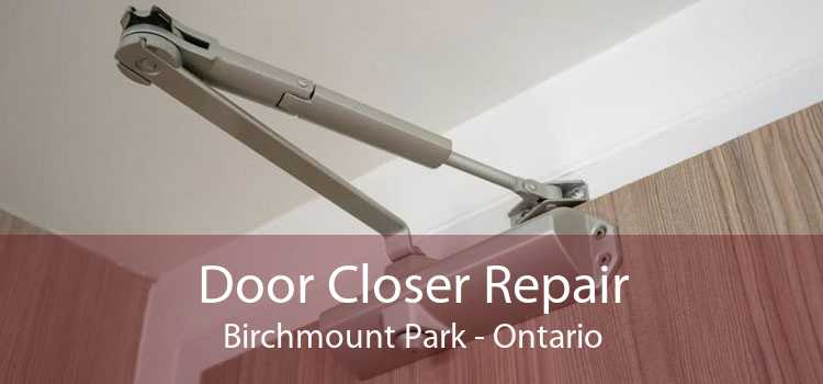 Door Closer Repair Birchmount Park - Ontario