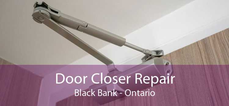 Door Closer Repair Black Bank - Ontario