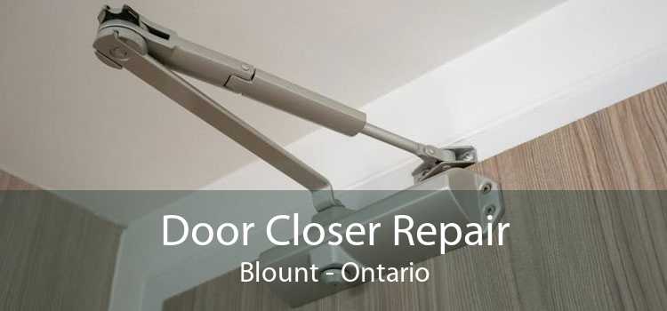Door Closer Repair Blount - Ontario
