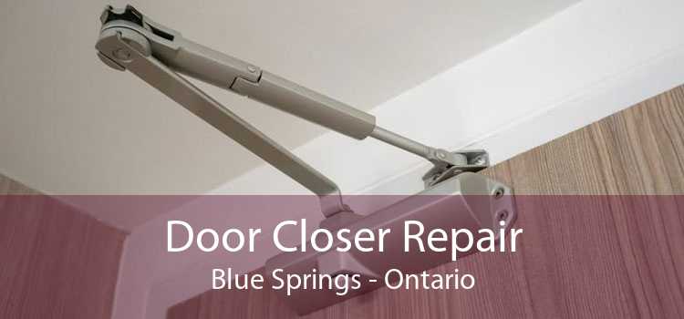Door Closer Repair Blue Springs - Ontario