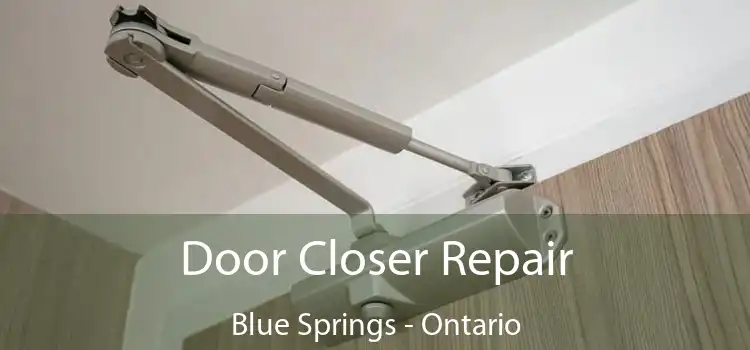 Door Closer Repair Blue Springs - Ontario