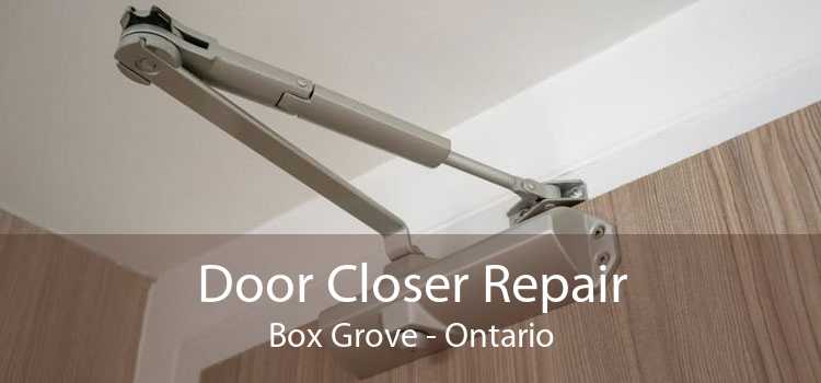 Door Closer Repair Box Grove - Ontario
