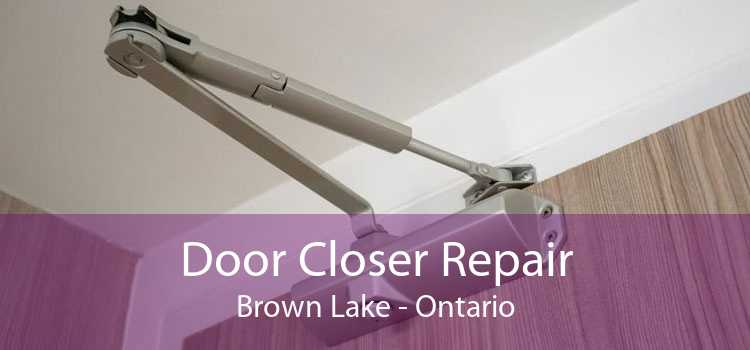 Door Closer Repair Brown Lake - Ontario