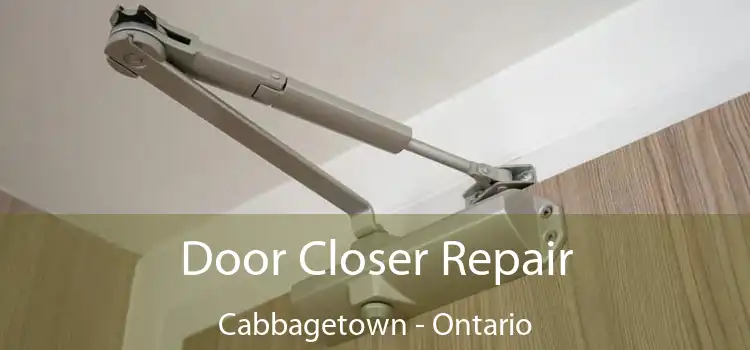 Door Closer Repair Cabbagetown - Ontario