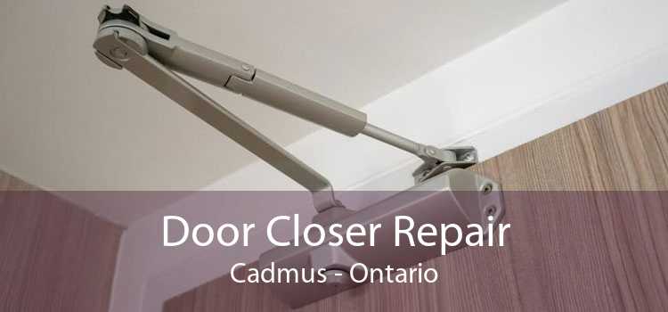 Door Closer Repair Cadmus - Ontario