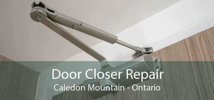 Door Closer Repair Caledon Mountain - Ontario