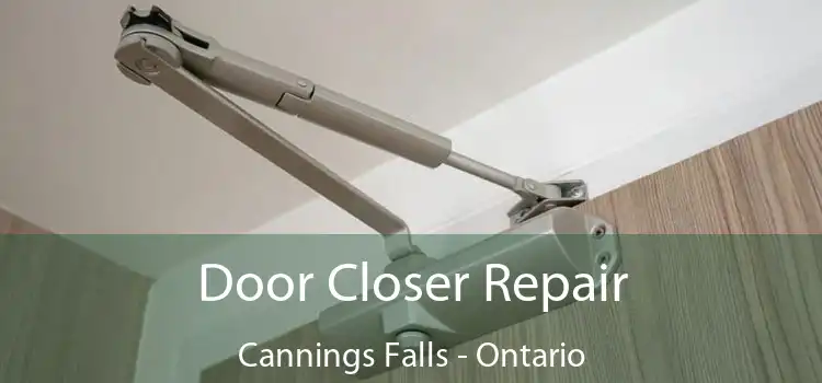 Door Closer Repair Cannings Falls - Ontario