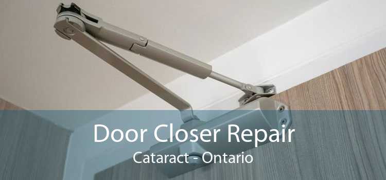 Door Closer Repair Cataract - Ontario