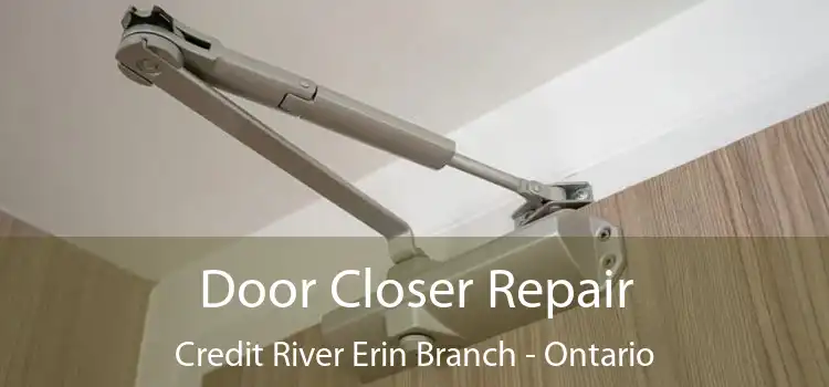 Door Closer Repair Credit River Erin Branch - Ontario