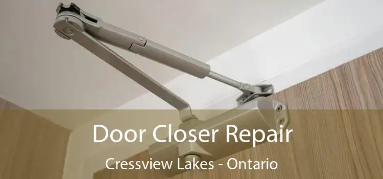 Door Closer Repair Cressview Lakes - Ontario
