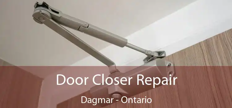 Door Closer Repair Dagmar - Ontario