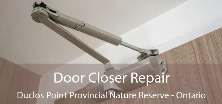 Door Closer Repair Duclos Point Provincial Nature Reserve - Ontario