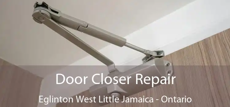 Door Closer Repair Eglinton West Little Jamaica - Ontario