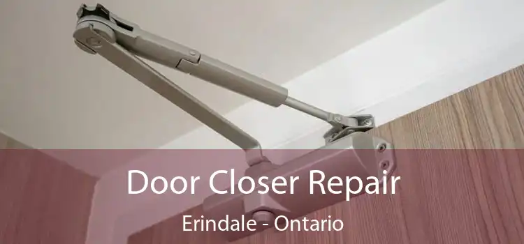 Door Closer Repair Erindale - Ontario