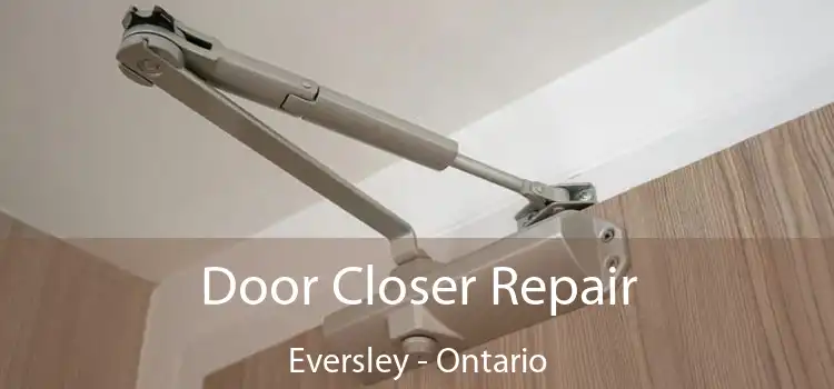 Door Closer Repair Eversley - Ontario