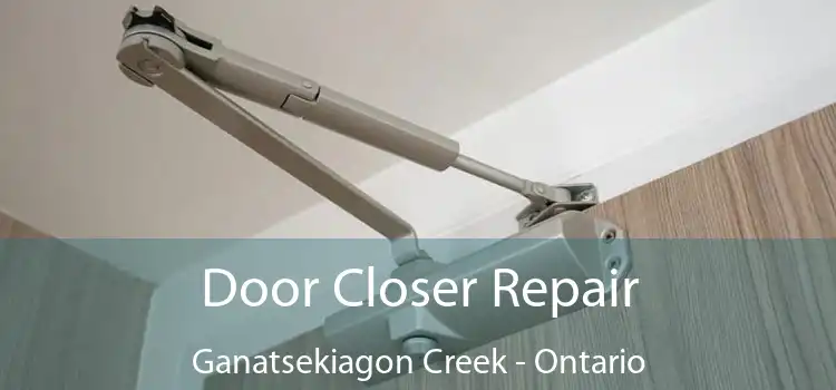 Door Closer Repair Ganatsekiagon Creek - Ontario