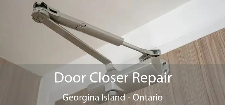 Door Closer Repair Georgina Island - Ontario