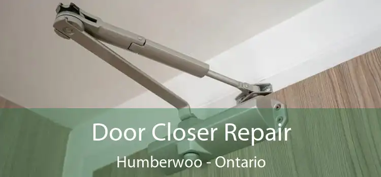Door Closer Repair Humberwoo - Ontario
