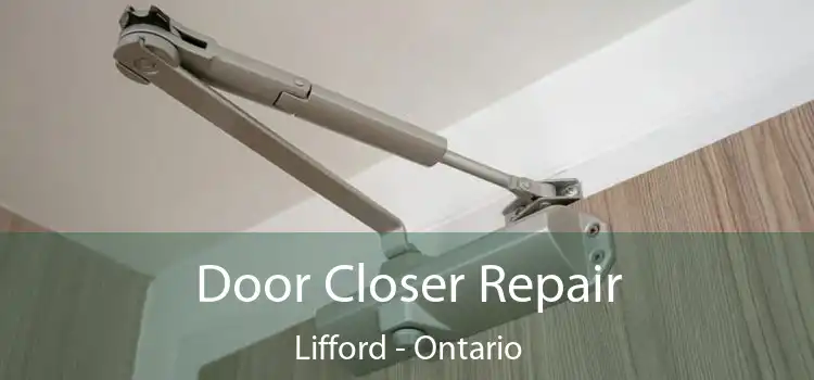 Door Closer Repair Lifford - Ontario