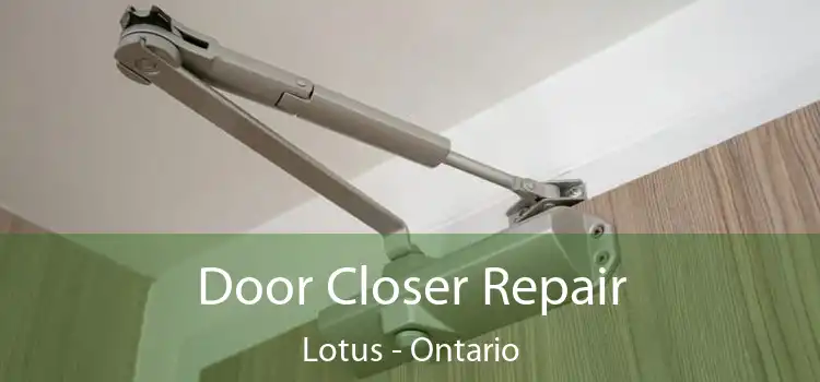 Door Closer Repair Lotus - Ontario